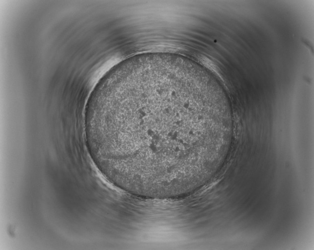 X0000102381087200808291356