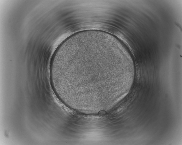 X0000102381088200808291356