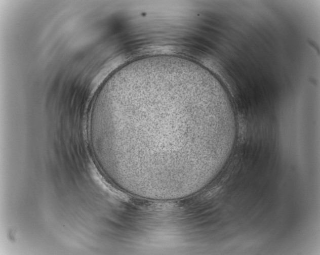 X0000102381090200808291356