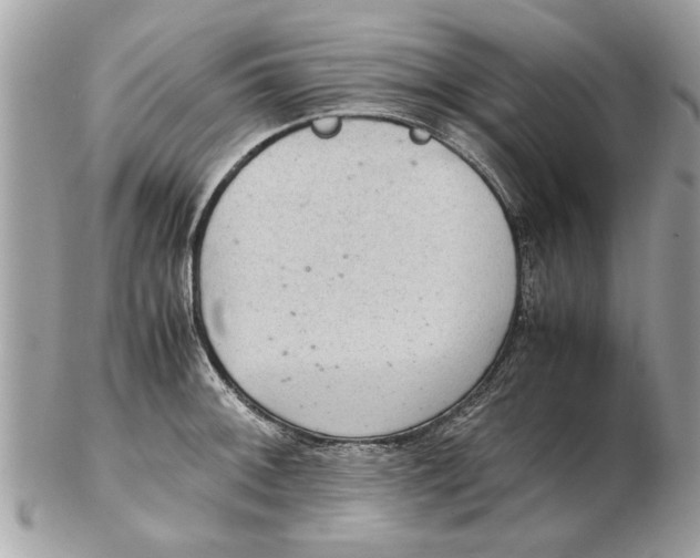 X0000102381092200808291356