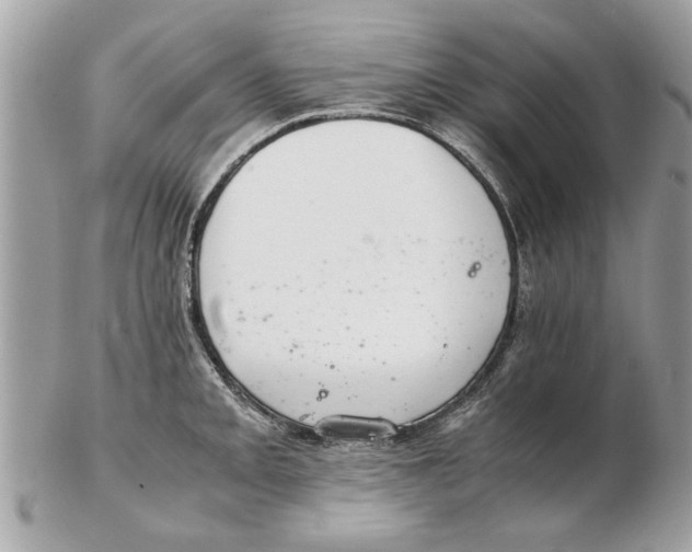 X0000102381093200808291356