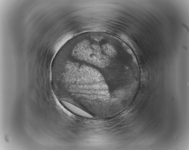 X0000102381095200808291356