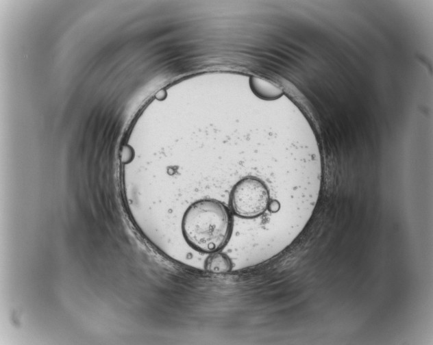 X0000102381096200808291355