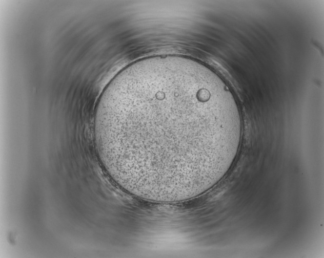 X0000102381097200808291355