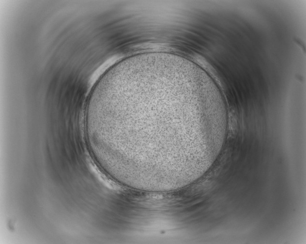 X0000102381098200808291355