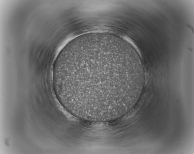 X0000102381099200808291355