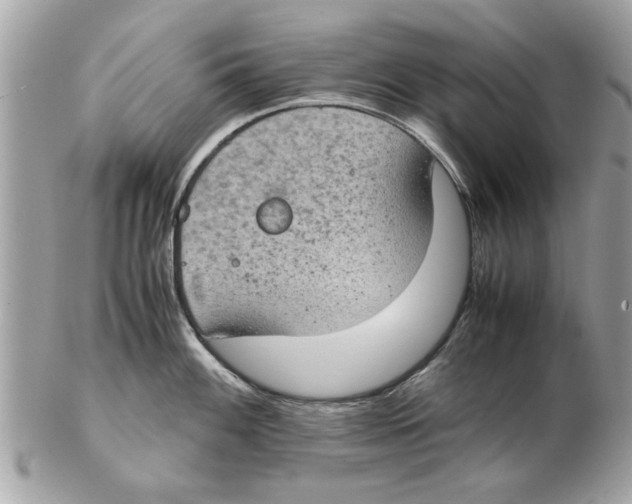 X0000102381100200808291355