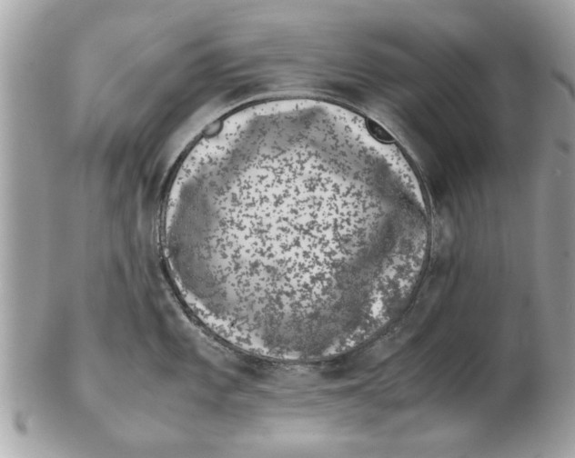 X0000102381101200808291355