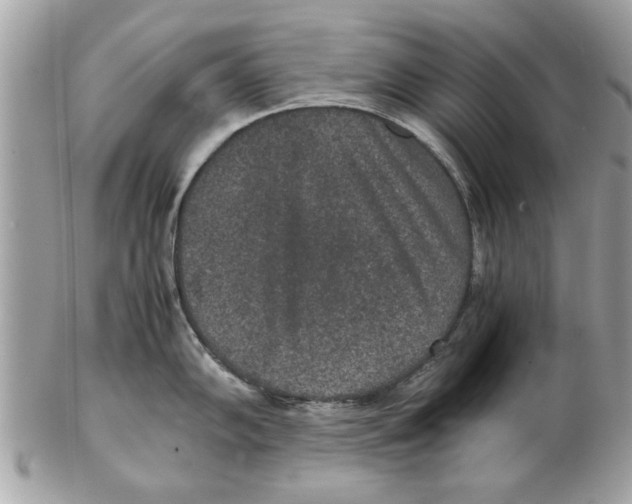 X0000102381102200808291355