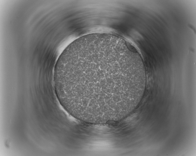 X0000102381103200808291355