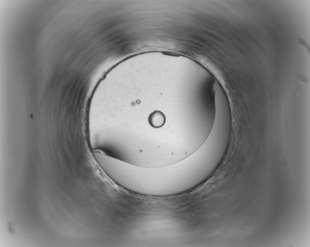 X0000102381104200808291355