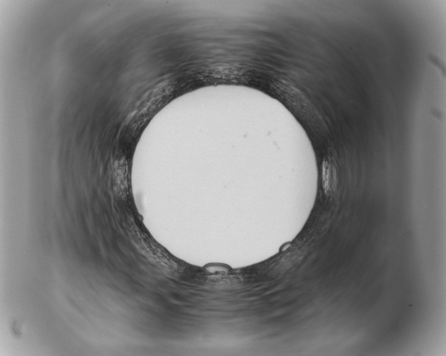 X0000102381107200808291355