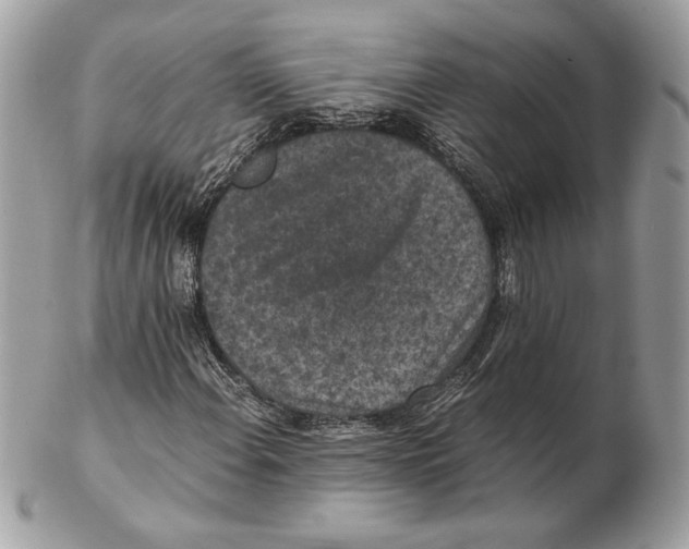 X0000102381108200808291355