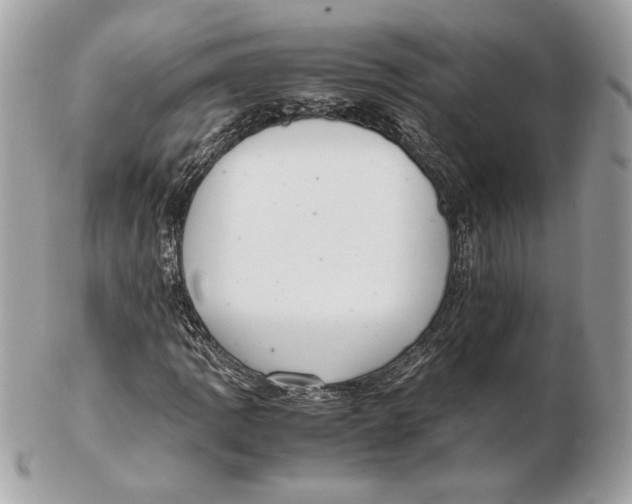 X0000102381109200808291355