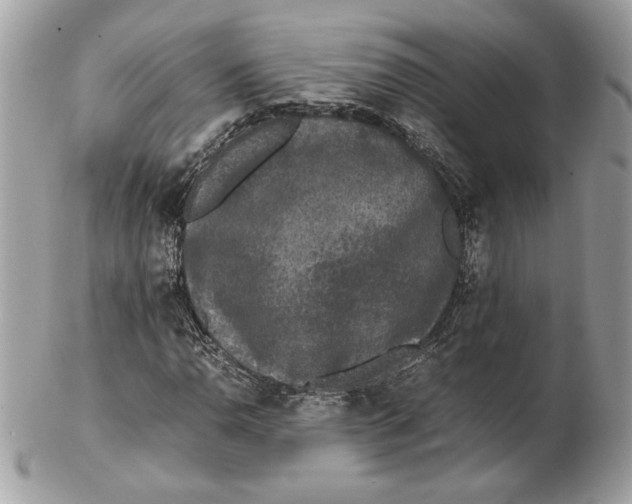 X0000102381110200808291355