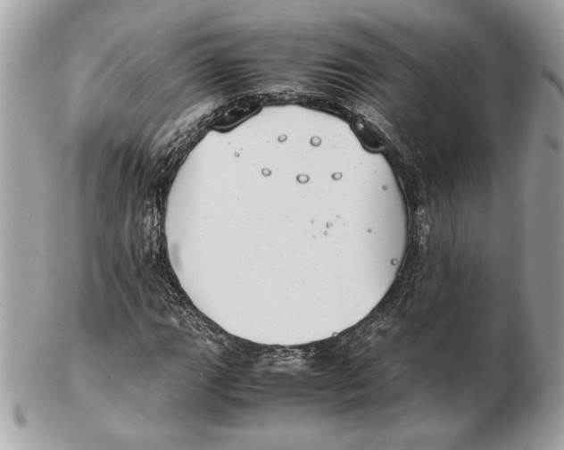 X0000102381111200808291355