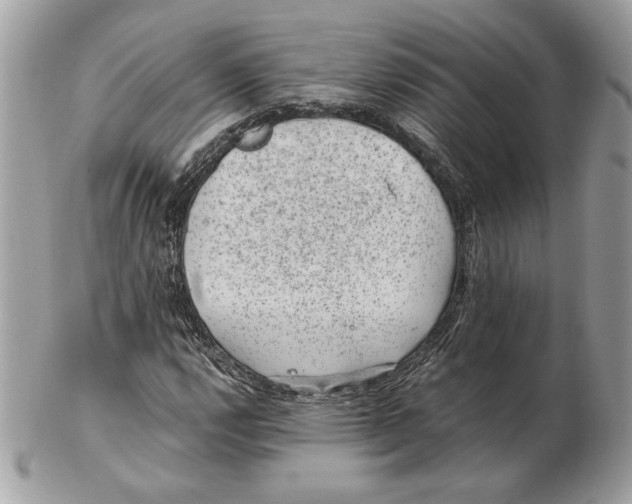 X0000102381112200808291355