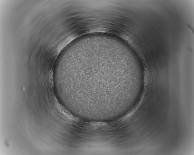 X0000102381113200808291355