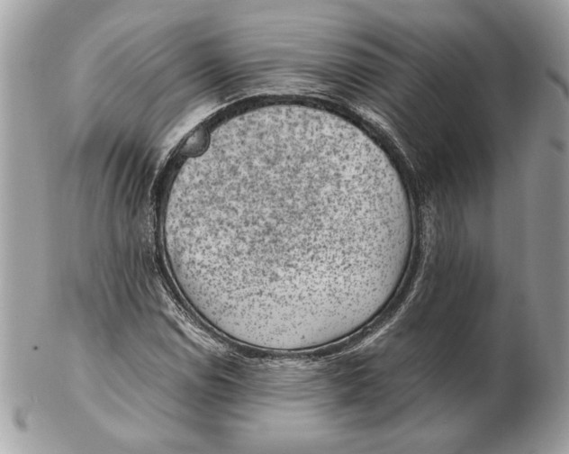 X0000102381114200808291355