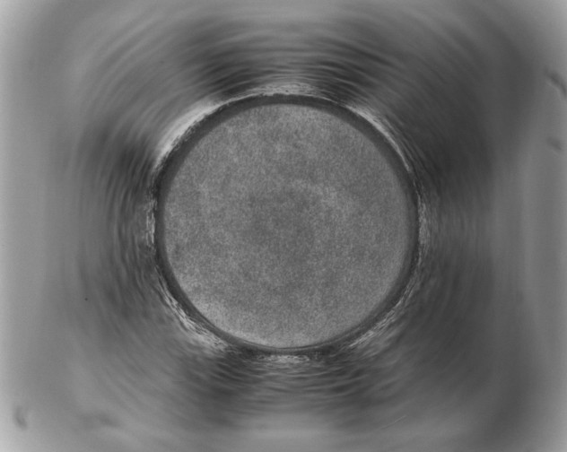 X0000102381115200808291355