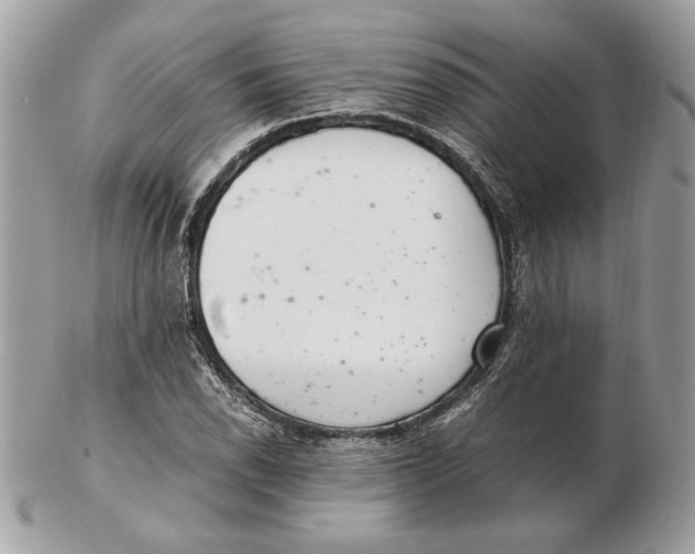 X0000102381118200808291355