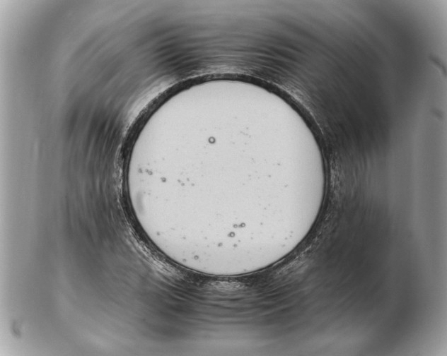 X0000102381119200808291355