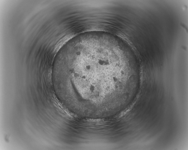 X0000102381121200808291355