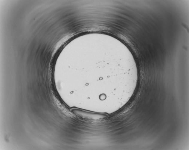 X0000102381122200808291355