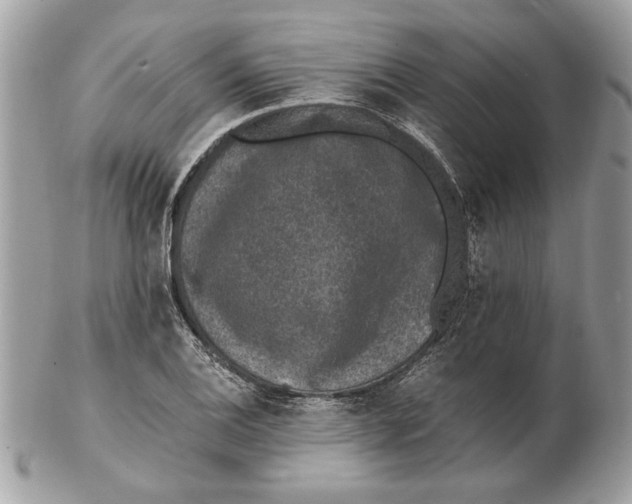 X0000102381124200808291355