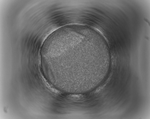 X0000102381125200808291355