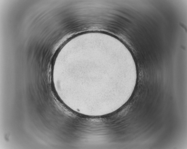 X0000102381126200808291355