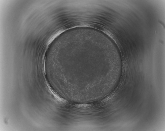 X0000102381127200808291355