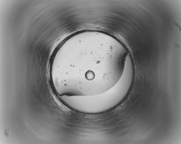 X0000102381128200808291355