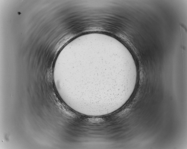 X0000102381129200808291355