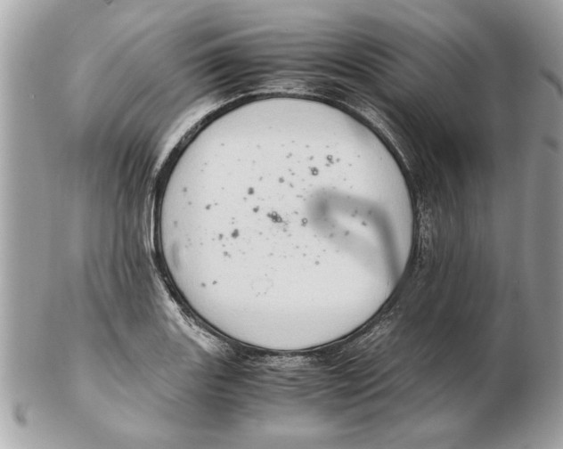 X0000102381131200808291355