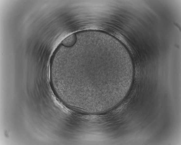 X0000102381132200808291355