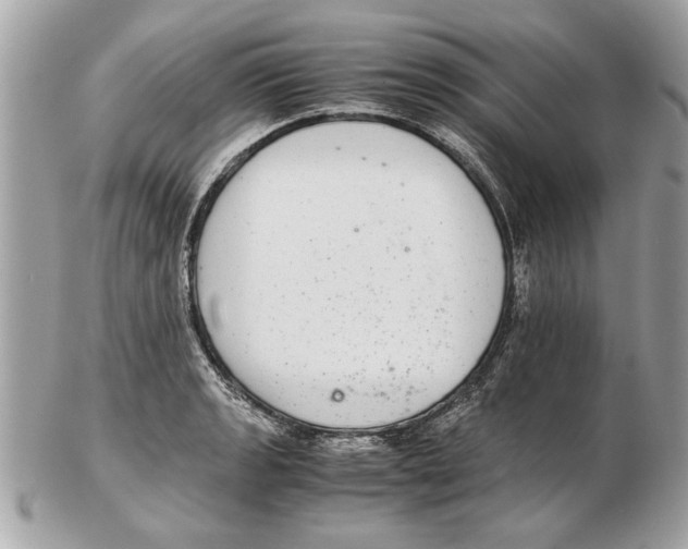 X0000102381133200808291355