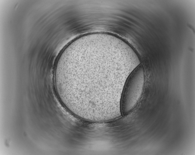 X0000102381134200808291355