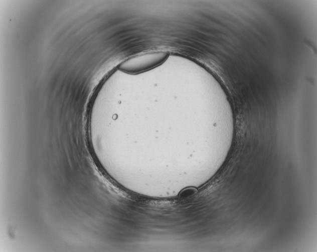 X0000102381135200808291355