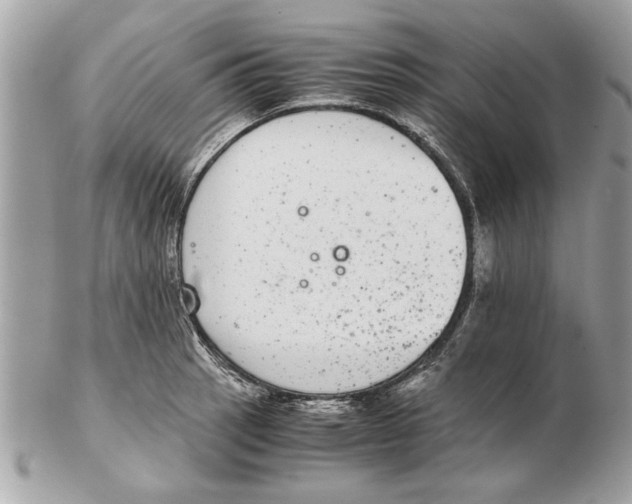 X0000102381137200808291355