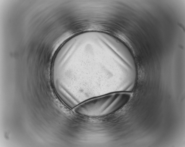 X0000102381138200808291355