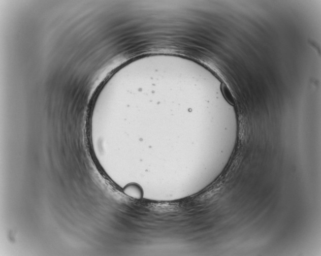 X0000102381139200808291355