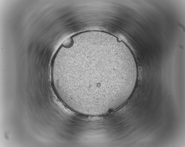 X0000102381140200808291355