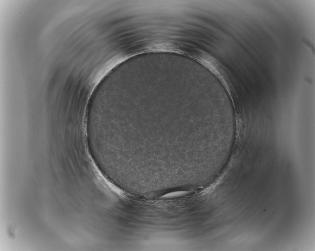 X0000102381141200808291355