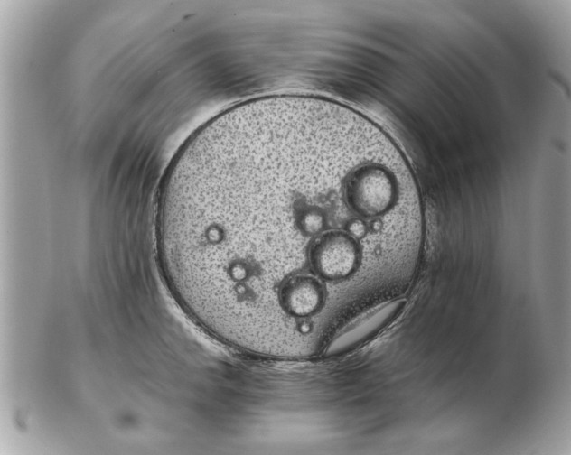 X0000102381142200808291355