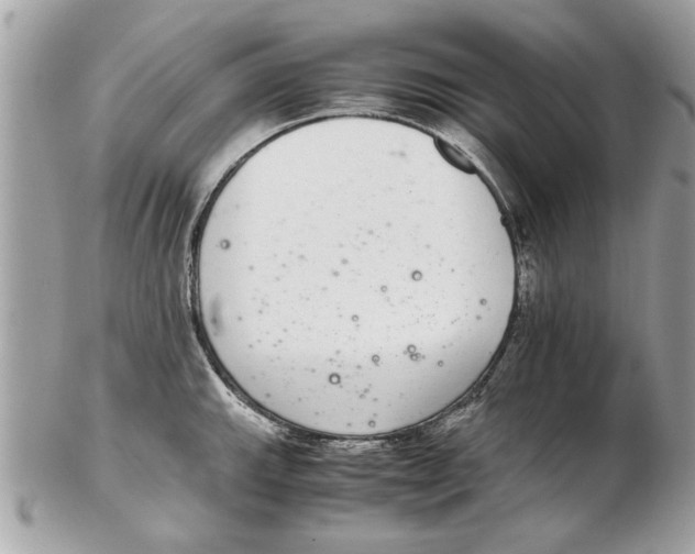 X0000102381143200808291355