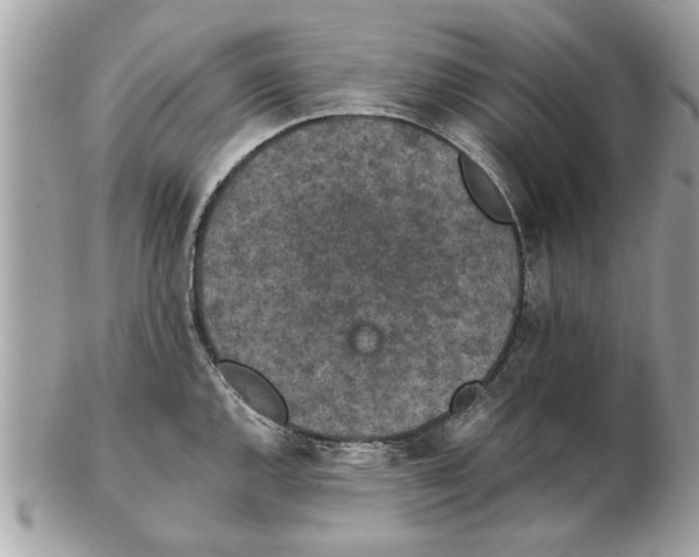 X0000102381144200808291355