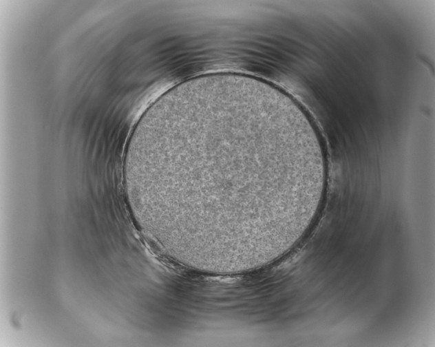 X0000102381145200808291355