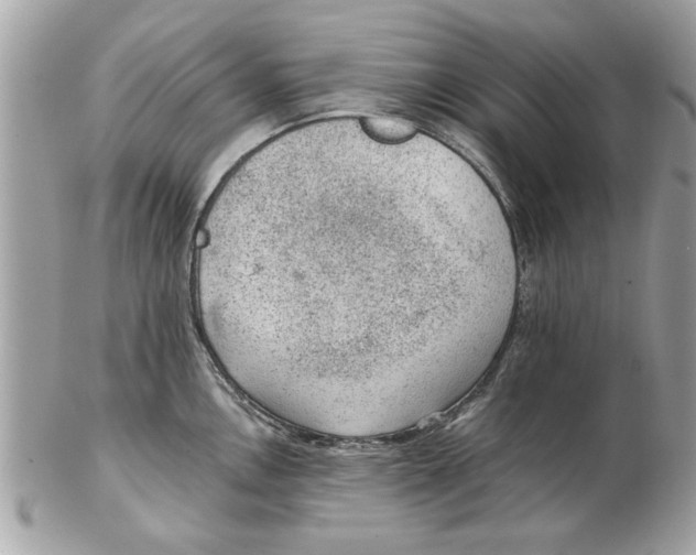 X0000102381146200808291355