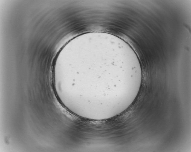 X0000102381147200808291355